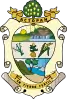 Coat of arms of Actopan
