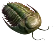 3D model