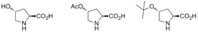 Examples of proline catalysts