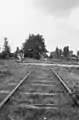 The railway in Waalwijk. The track has since been broken up.