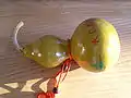 A bottle gourd