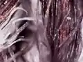 Sweatshirt under microscope