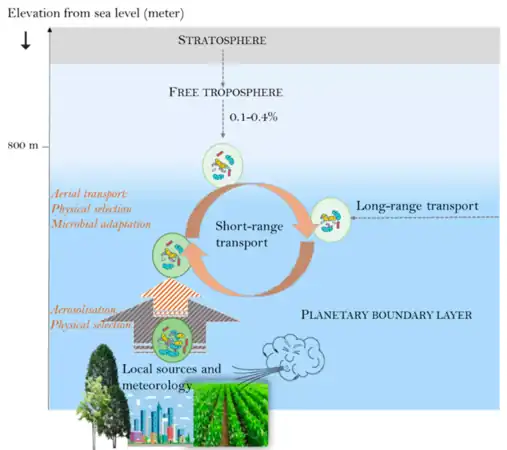 Factors controlling microbial communitiesof the planetary boundary layer 