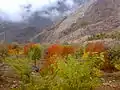 Hir, West Alamut