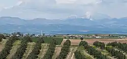 Faydalı, İmamoğlu