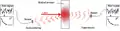 Typical setup of diffusing-wave spectroscopy