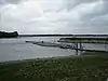 Hanningfield Reservoir