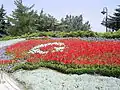Image 3Flag of Turkey, from flowers