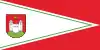 Flag of Chashniki
