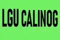 Flag of Calinog