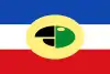Flag of Carepa