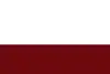 Flag of Choachí