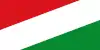 Flag of Cravo Norte