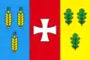 Flag of Dubno Raion