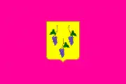 Flag of Izium