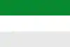 Flag of La Macarena, Meta