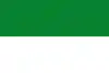 Flag of La Tola