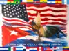 Flag of Little Havana