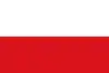 Flag of Natagaima
