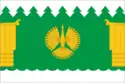 Flag of Pinezhsky District