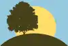 Flag of Pleasant Ridge, Michigan