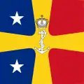 Vice Admiral Navy Commander