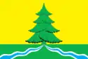 Flag of Sabinsky District