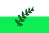 Flag of San Juan de Rioseco