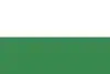 Flag of San Luis, Tolima