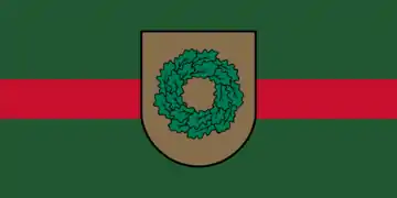 Flag (2010–2021)