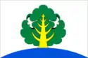 Flag of Balagachchy