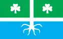 Flag of Torma Parish