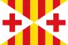 Flag of Vic