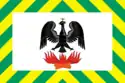 Flag of Vidnoye