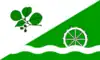 Flag of Elsdorf-Westermühlen