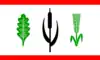 Flag of Ostrohe