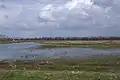 Flooded Catcott Heath.