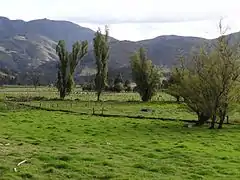 Rural area