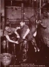 For the Sake of a Veal Cutlet, published by Rowley in 1914
