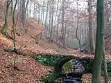 Frederick valley