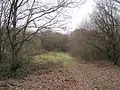 Clearing