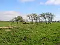 The site of Lochside Farm.