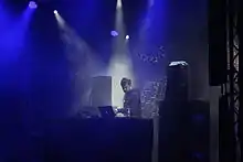 Shed performing at Melt! music festival