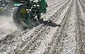 Dawn Gfx & Curvetines in the field