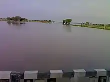 Ghaggar river in September, near Anoopgarh Sri Ganganagar Rajasthan