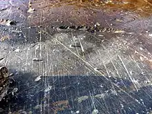 Glacial striations on bedrock in northern Maine, USA.