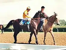horse and jockey
