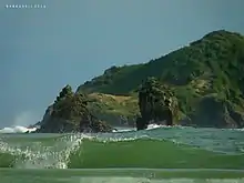 Green sea at Manuel Antonio Beach, Costa Rica