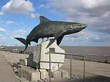 Image 23Postural configuration of a Gray Reef Shark as it displays agonistic behaviour, in a sculpture (from Shark agonistic display)