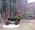 The Kucja Valley Mass Grave